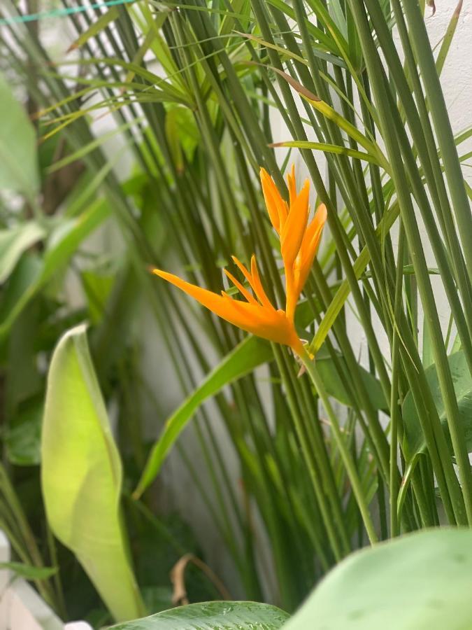 Duy An Guest House Муйне Экстерьер фото